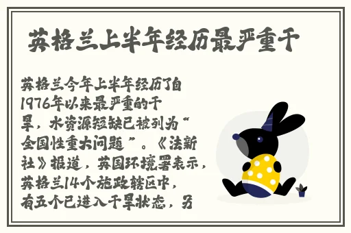 亚洲日韩欧美有码在线